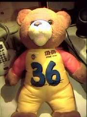 erniebear.jpg