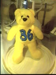 lilbear.jpg
